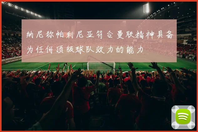 纳尼称帕利尼亚符合曼联精神具备为任何顶级球队效力的能力