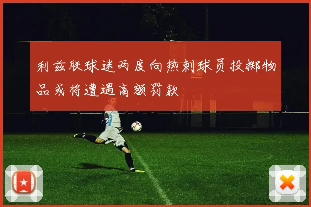 利兹联球迷两度向热刺球员投掷物品或将遭遇高额罚款